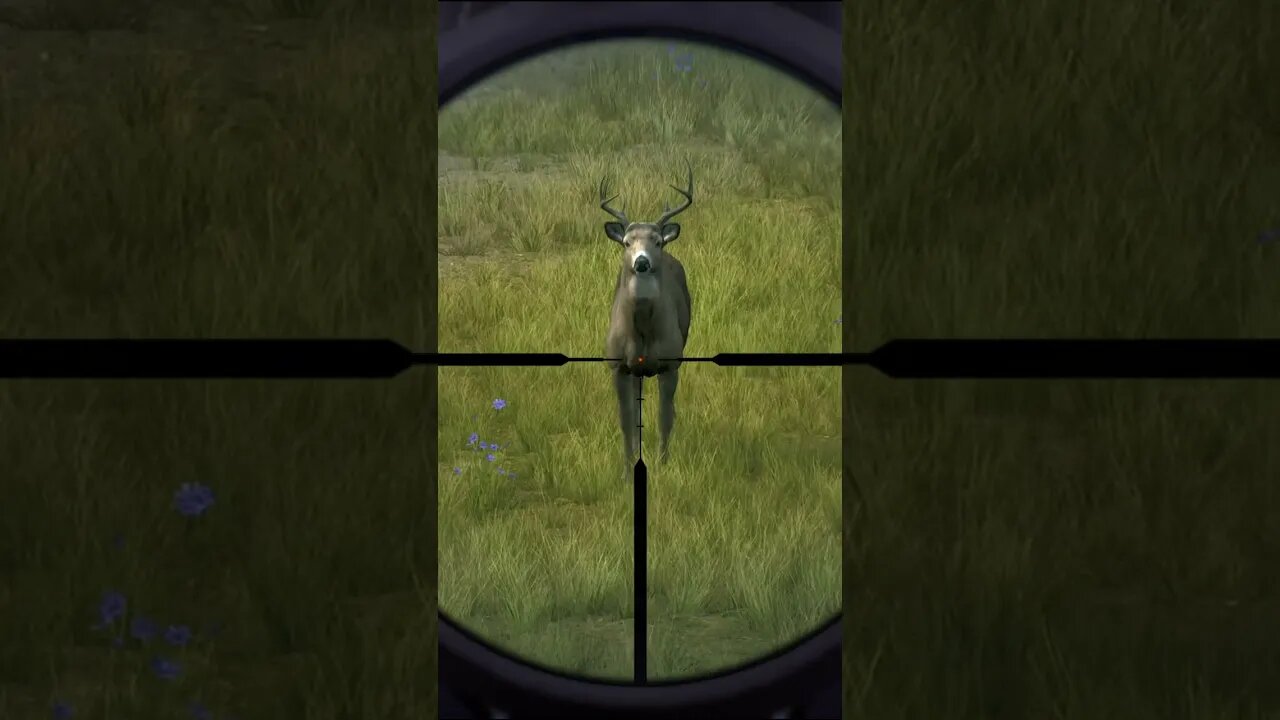 VITAL SHOTS 11 🦌🎯 - Way of the Hunter Animal Reactions #shorts