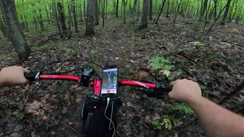 Days River Single Track ( Fatback Rhino )