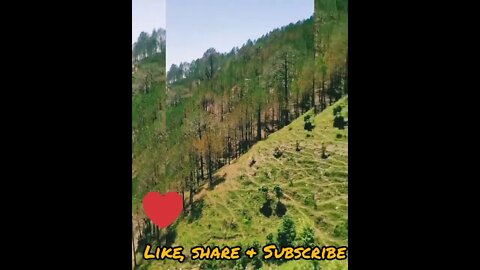 Amazing Uttarakhand