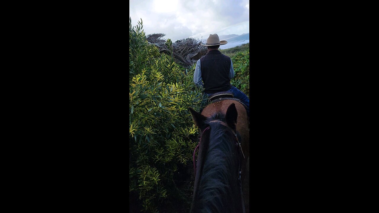 Ocean View On Horseback