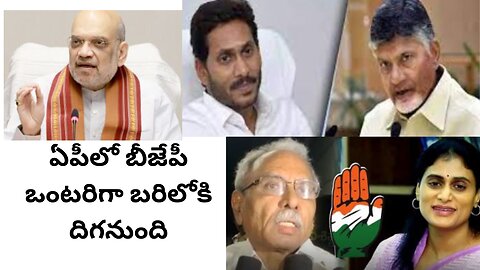 BJP to go alone in AP elections