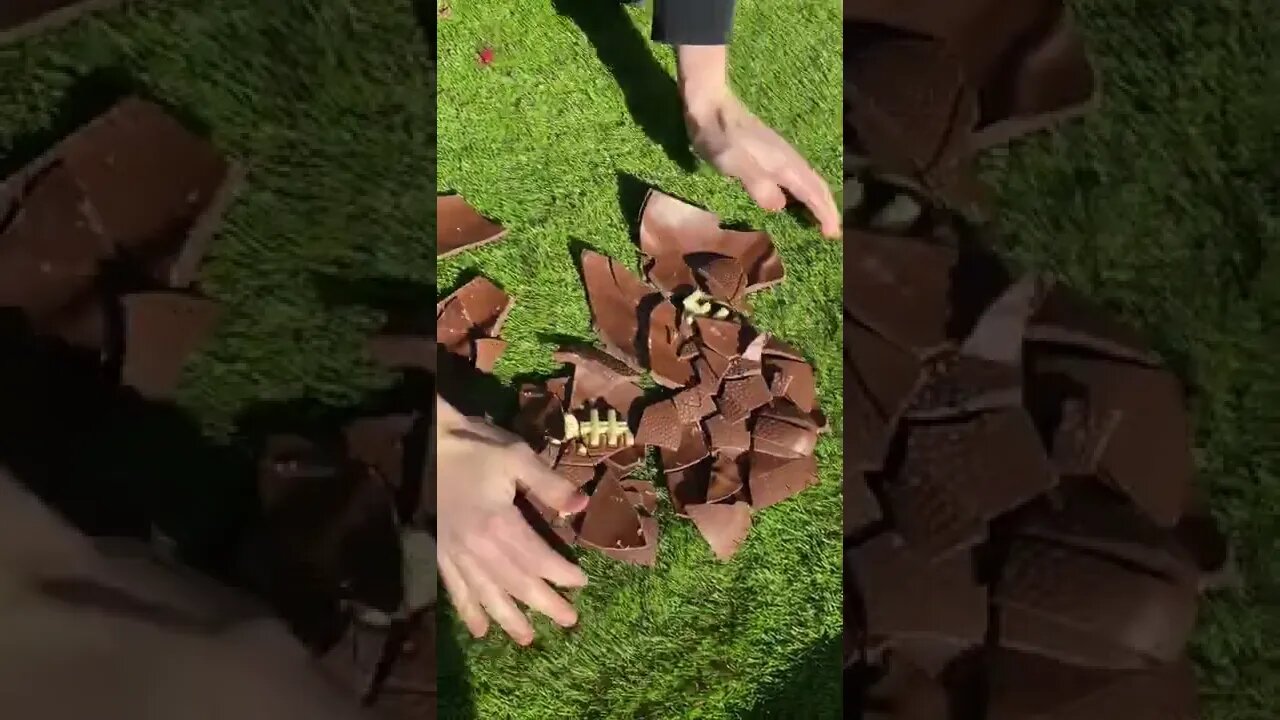 2022 trending shorts video for Entertain Your Mood #shorts #trending #viral #youtube #blackshorts