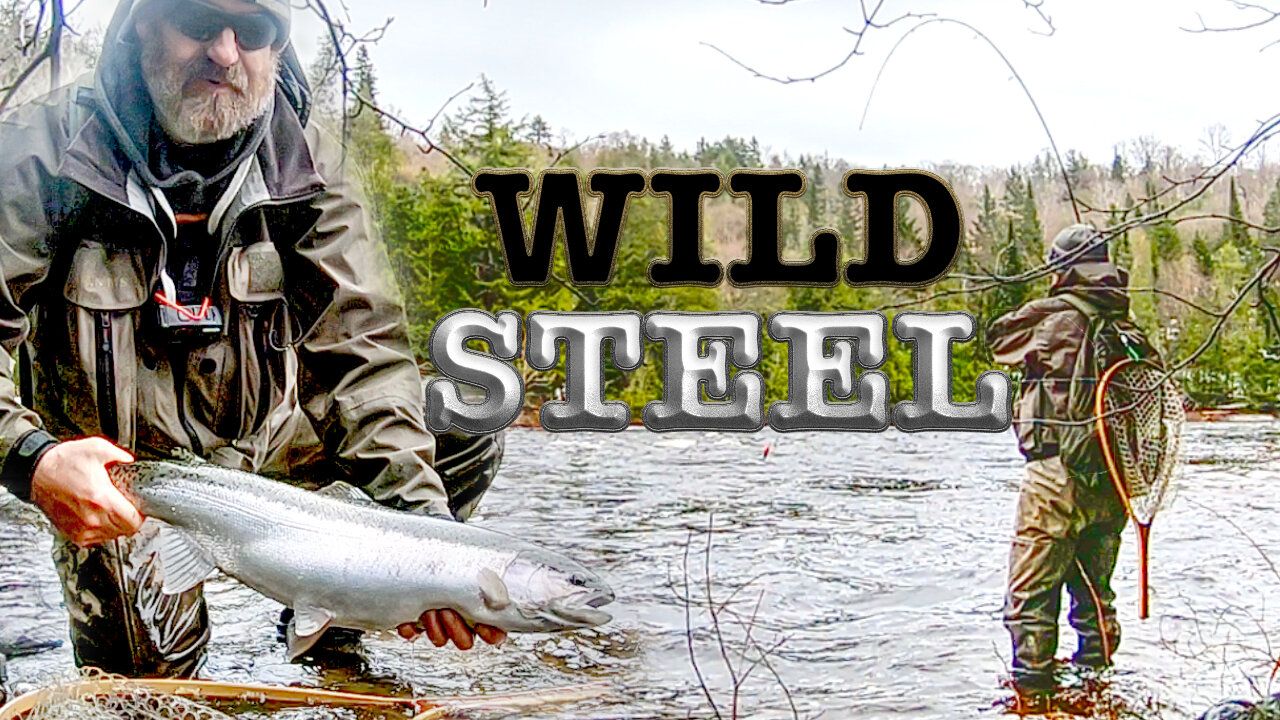 Scouting Lake Superior Tributaries For Steelhead