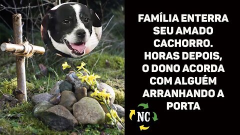 A família enterra seu amado cachorro - horas depois, o dono acorda com alguém arranhando a porta