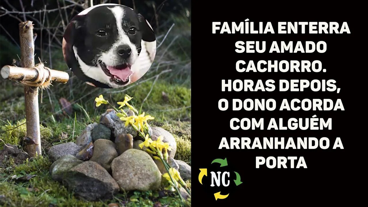 A família enterra seu amado cachorro - horas depois, o dono acorda com alguém arranhando a porta