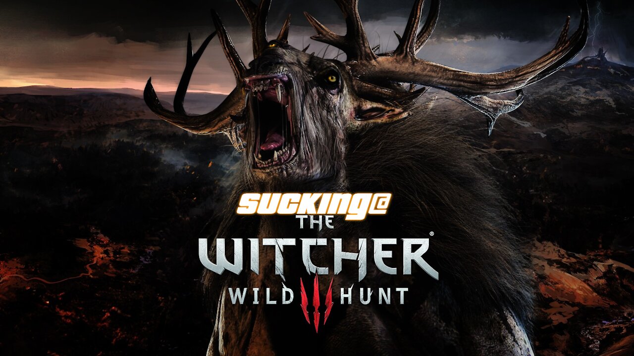 The Witcher 3: Wild Suck 3