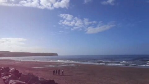 Whitby Shoreline Featuring Campbell The Toast