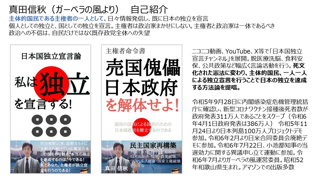 2024年8月30日 真田信秋 政権交代のために立憲民主党にもの申す市民集会での発表