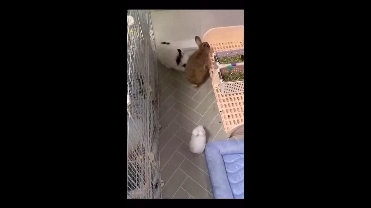 🤣