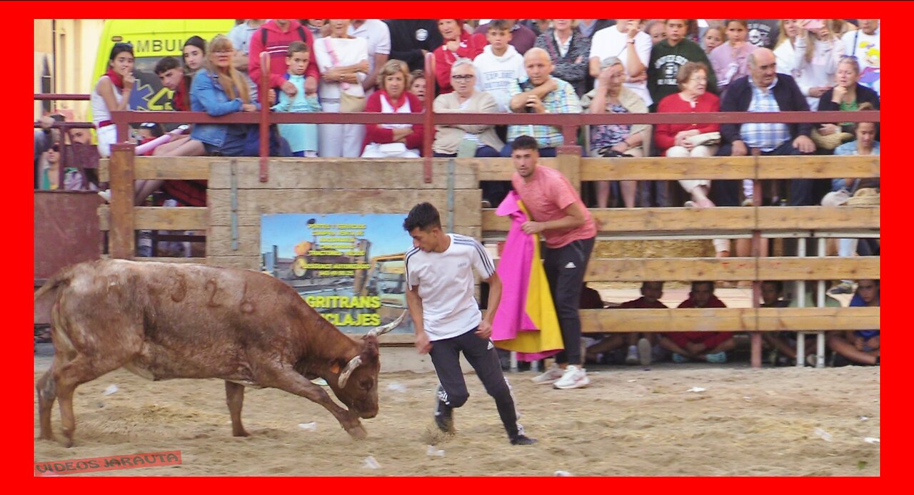 BARILLAS ( NAVARRA ) TARDE VACAS EN PLAZA ( VIERNES 4 AGOSTO 2023 ) GANAD.ARRIAZU