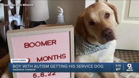 Anderson boy to get service dog after outpouring of community support