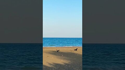 #short #subscribe #beautiful #oman #nature #sea#comfortzone