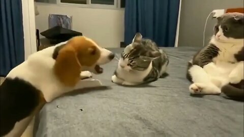 "What's wrong with this guy"