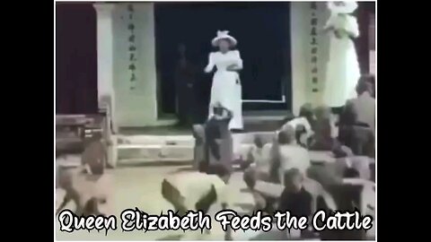 Queen Elizabeth Feeds the Cattle