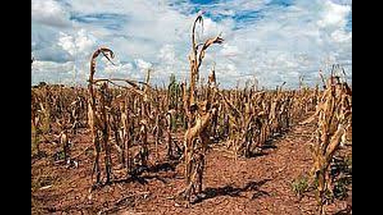 Massive Environmental Degradation Have Led To Huge Crop Failures