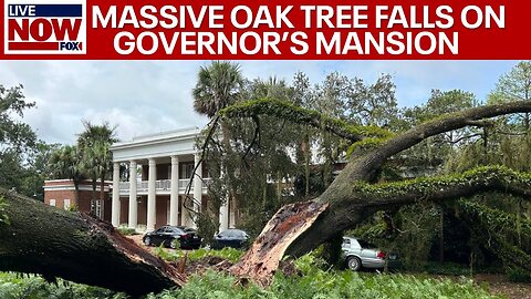 Hurricane Idalia: Florida Governor's Mansion hit by 100-year-old Oak Tree | LiveNOW from FOX