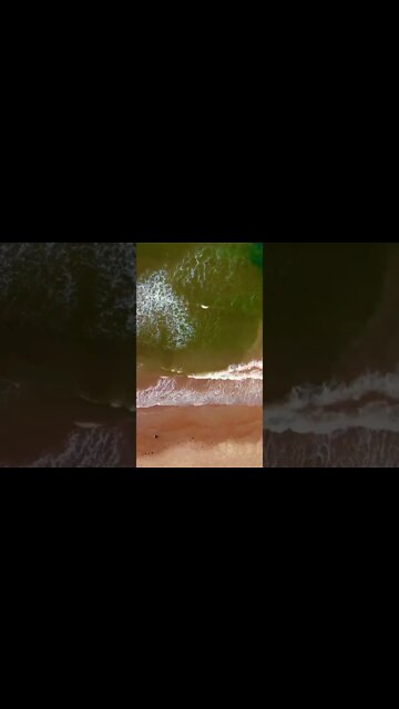 Finding peace at the beach