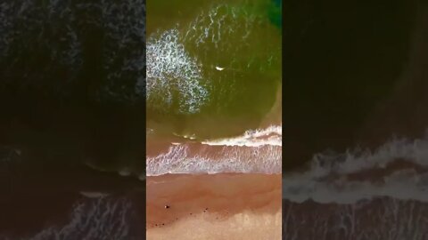 Finding peace at the beach