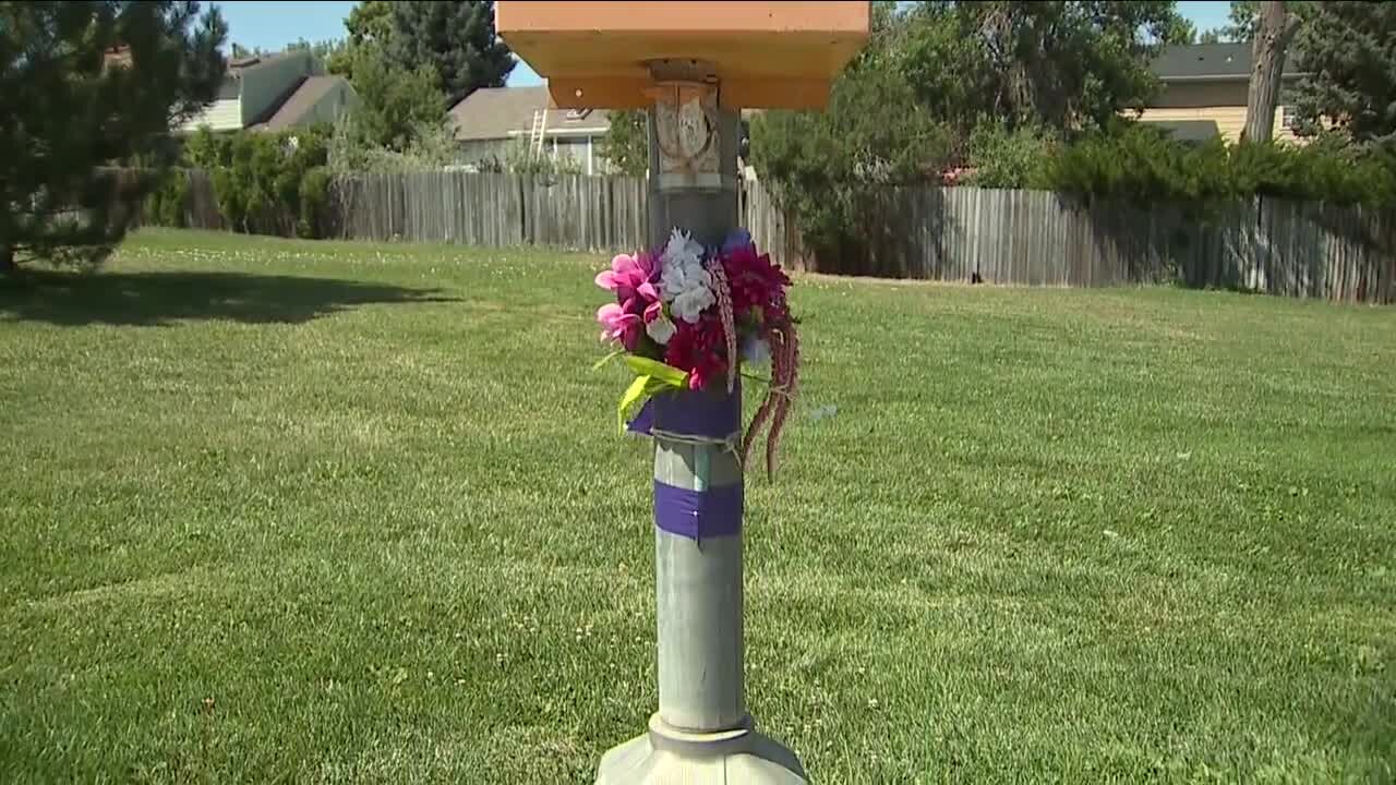 Man, 2 dogs killed in hit-and-run on Reservoir Road near Cherry Creek State Park