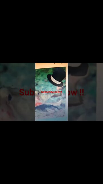 must come see my sister t vid