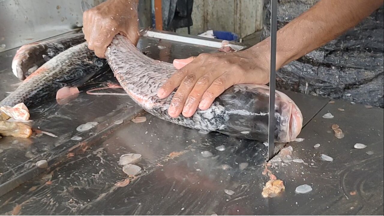 katla carp fish cutting by machine in matket