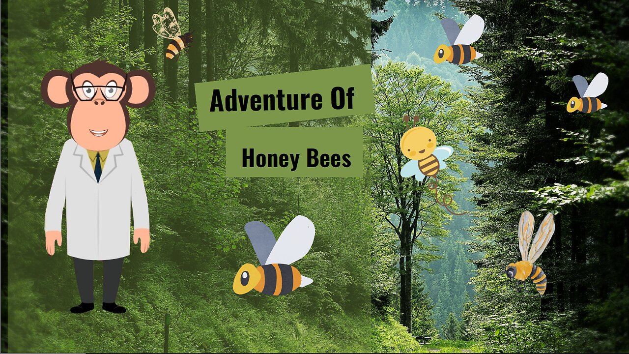 Adventure of Honey Bees | Hope you all like it .