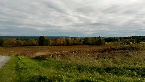 More beauties of the Battlefield