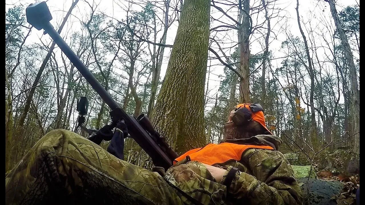 50 BMG Deer Hunting