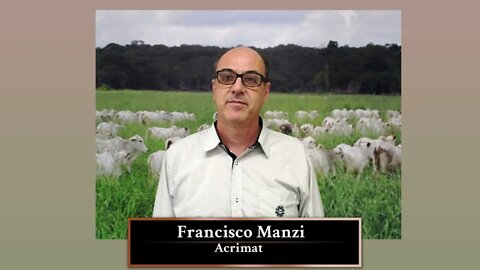 Confinadores do MT enfrentam dúvidas e disparada nos custos de produção
