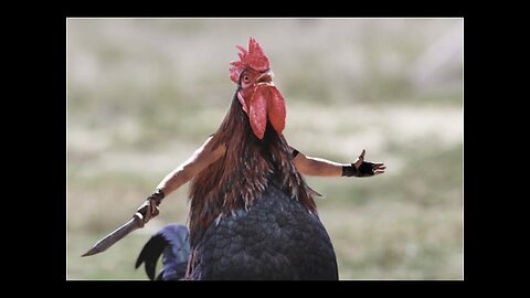 Rise & Shine I'm Up Early (Cultfigga TV voice) Rooster meme
