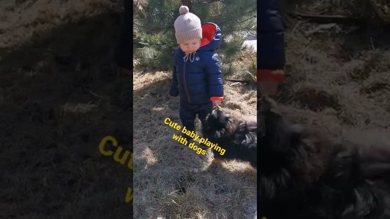 baby playing with dogs #animals #dogs #baby