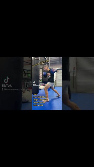 Muay Thai Heavy Bag Combo