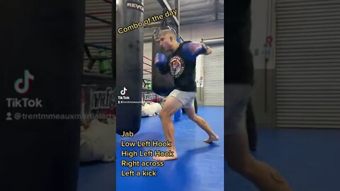 Muay Thai Heavy Bag Combo