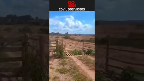 dividindo os bens 😂😂😂