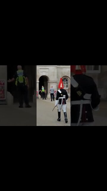 sniffer dog #horseguardsparade