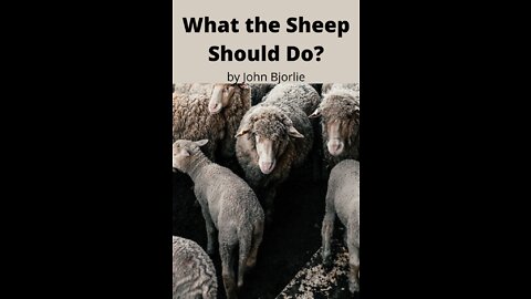 What the Sheep Should Do? by John Bjorlie