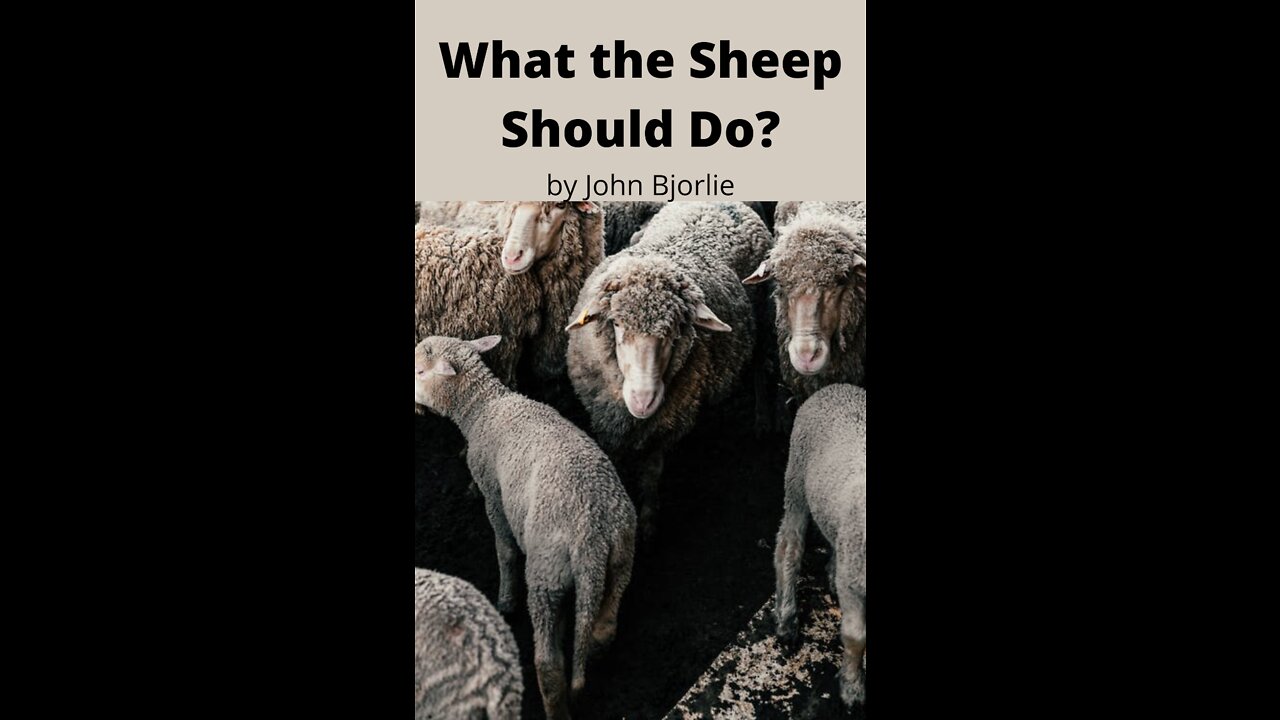 What the Sheep Should Do? by John Bjorlie