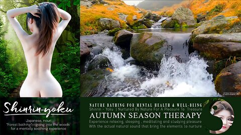 Shinrin-Yoku Bio Music Therapy | Nature Asmr 002 ▶️