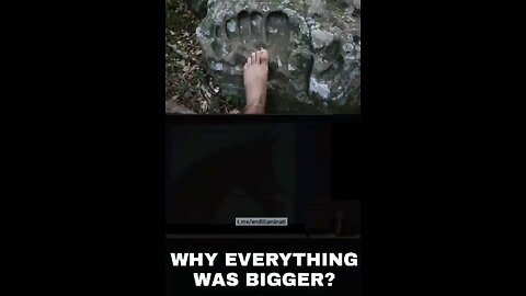 Everything was bigger