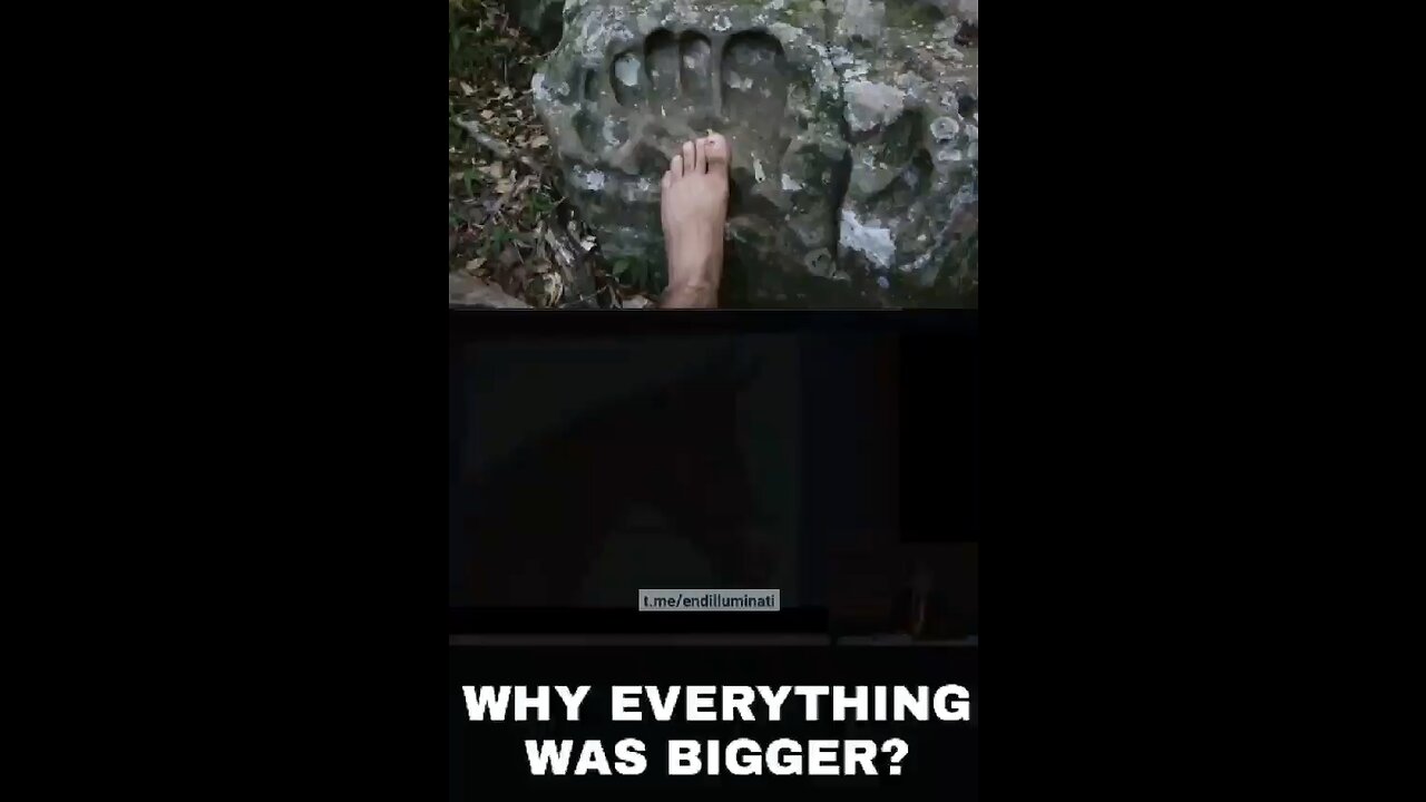 Everything was bigger