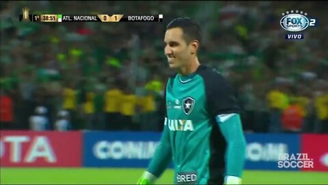 INCRÍVEIS Melhores Momentos do Jogo Atletico Nacional 0 x 2 Botafogo Libertadores 13 04 2017