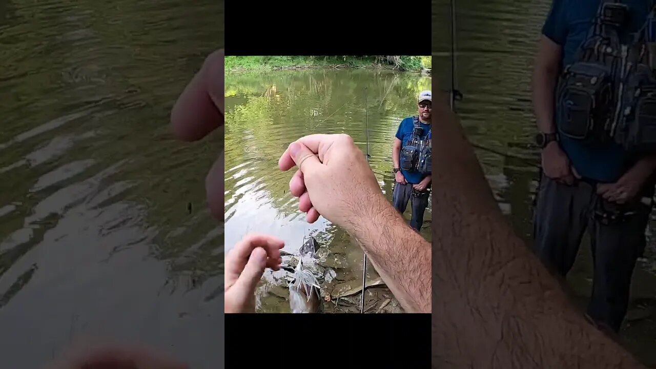 Have I been SLEEPIN on buzz baits???