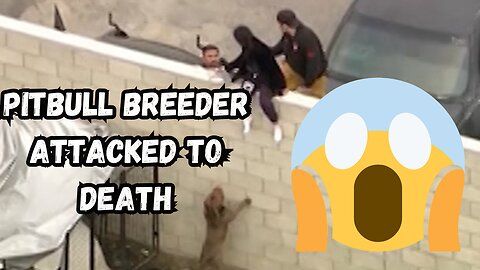 PIT BULLS ATTACK PACK MAULS MAN TO DEATH ... Bloody Body Left in Kennel