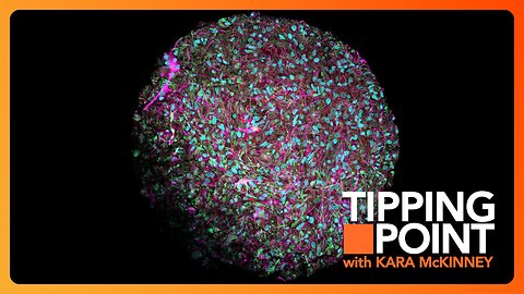 Organoid Intelligence | TONIGHT on TIPPING POINT 🟧