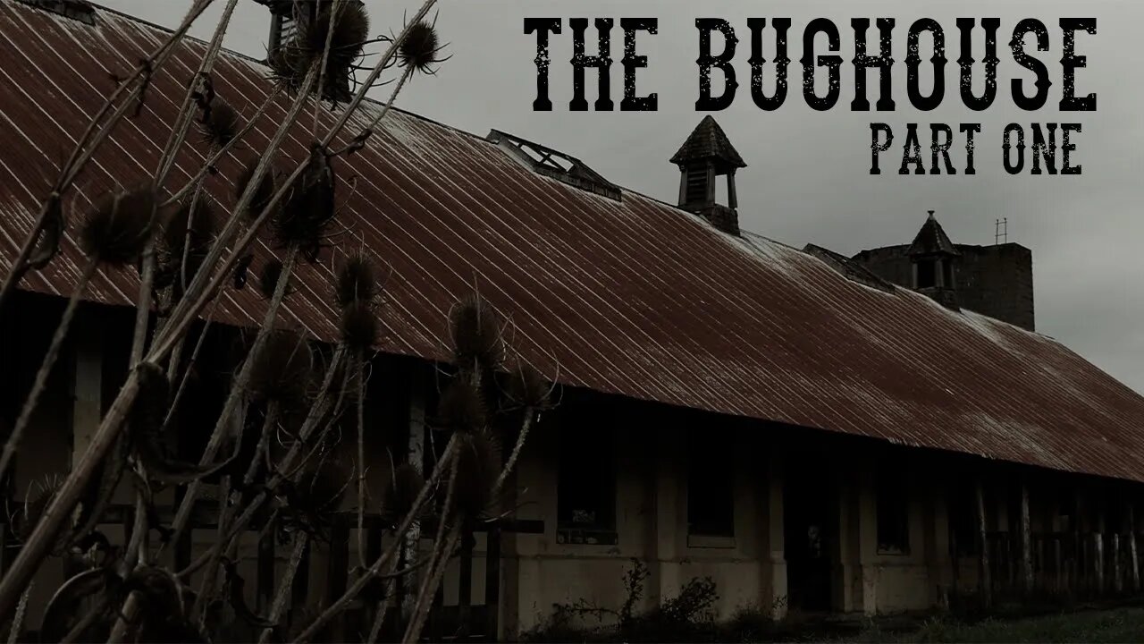 The Bughouse [Part 1]