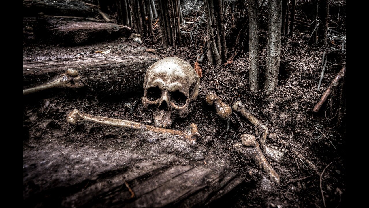 S02 E12 - I have been asked to investigate where a Shadow Person has been seen