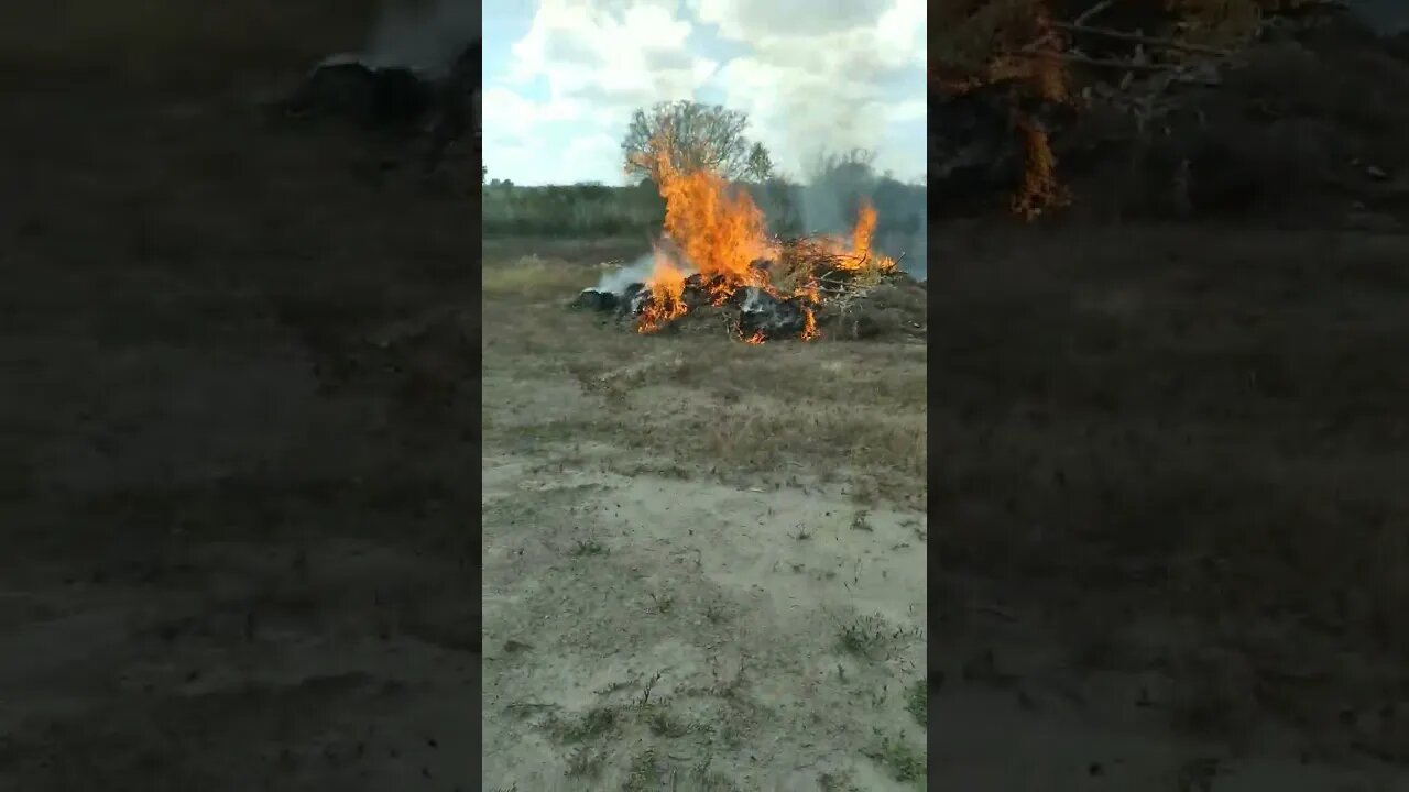 Colocando fogo nas coivaras, esperar as chuvas para plantar