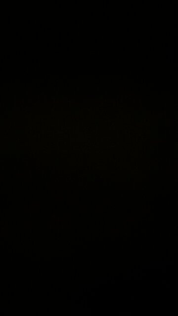 The souls of meat animals 🍖