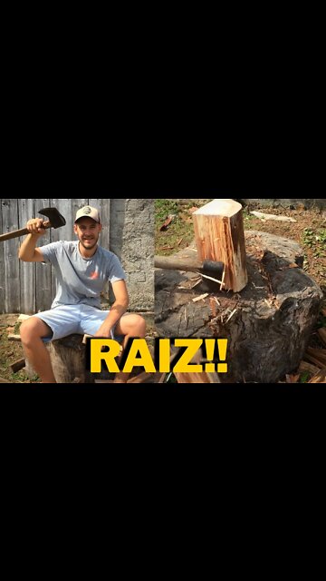 Só Quem é RAIZ Vai curtir esse Vídeo! #shorts