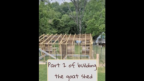 Part 2 of building the goat shed